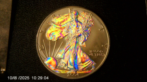 2004-Silver-Eagle-Made-To-Look-Like-A-Enhanced-Reverse-Proof